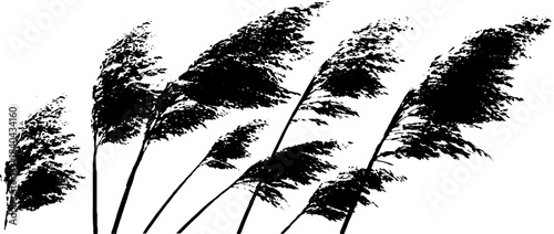 Windswept savanna illustration in black and white stencil design for urban art projects