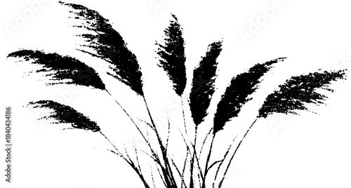 Monochrome stencil illustration of windswept savanna grass silhouettes for nature designs