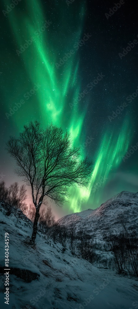 Fototapeta premium A vibrant aurora borealis lights up the snowy mountainside, showcasing a solitary tree against the starlit sky.