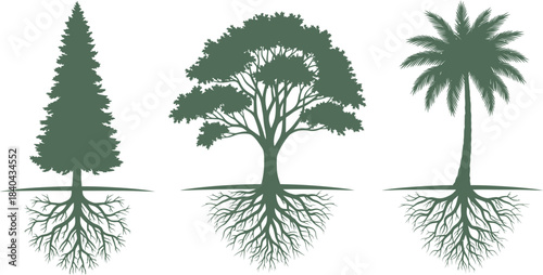Silhouettes of diverse trees with visible root systems on a white background