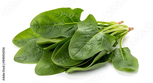 Fresh spinach leaves isolated on white background