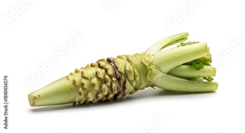 Fresh wasabi root on white background isolated on white background