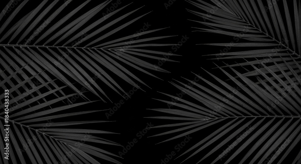 Naklejka premium Elegant Black Palm Fronds: Minimalist Composition on Dark Background