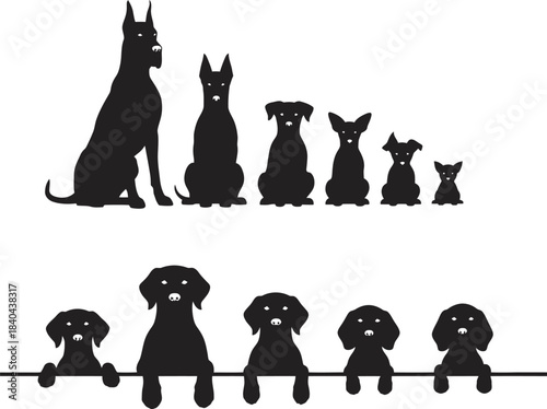 Silhouettes of various dog breeds displaying a range of sizes and postures