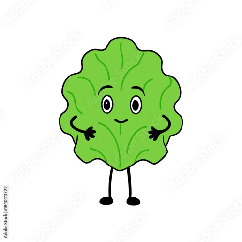 vector illustration of a cucumber