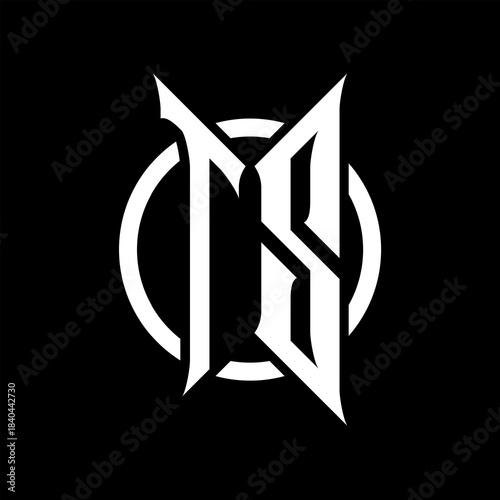 TS Monogram Logo on Black Background