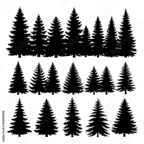 Pine tree silhouettes forest collection evergreen nature wood landscape graphic design template icon vector woodland flora