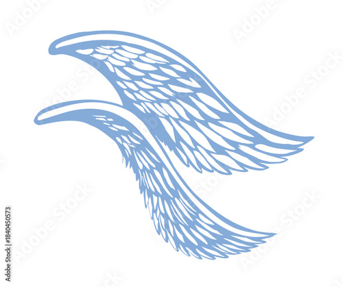 Vector drawing. Two large wings.