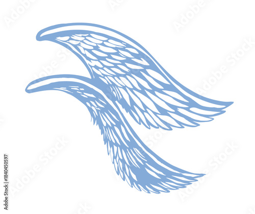 Vector drawing. Two large wings.