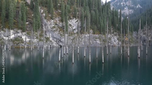 Serene lake scene featuring submerged trees rising from the water, camera pans smoothly across the tranquil surface, capturing reflections and surrounding lush greenery, showcasing natural beauty