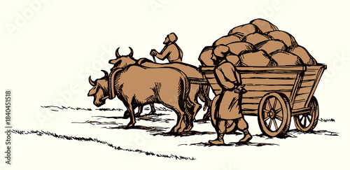 Vector drawing. Ancient cart with cows