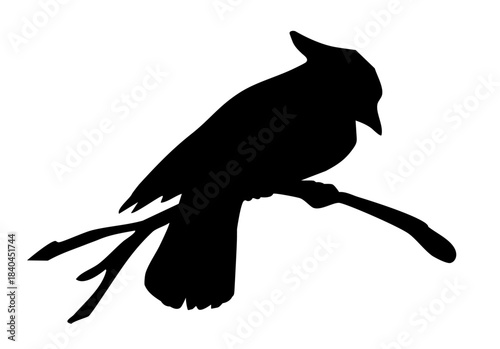 Vector drawing. Bird on white sky backdrop.
