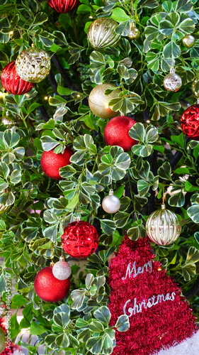 Christmas decorations on the tree