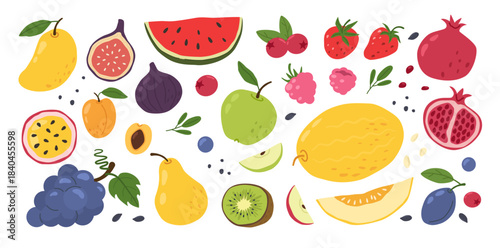 Fresh fruit and berry set. Healthy dessert exotic diet. Juicy mango and watermelon and strawberry. Organic tropical grapes and pomegranate for summer cute doodle design. Vector cartoon isolated set