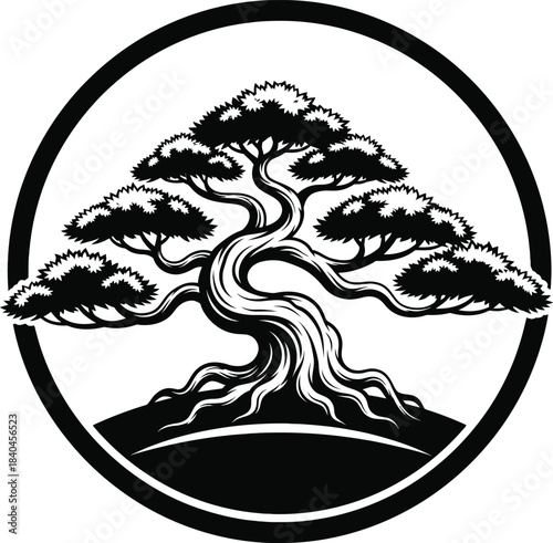 Bonsai tree emblem circular vector illustration