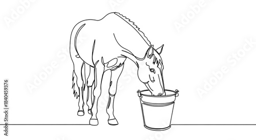 Horse drinking water from metal bucket in minimalist line drawing  