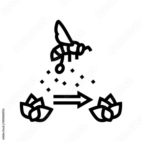 bee transferring pollen between flowers line icon vector illustration