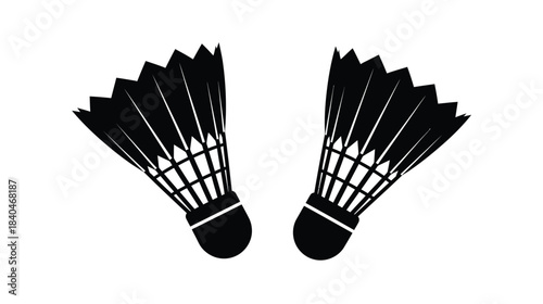 Two black shuttlecocks a graphic representation of badminton equipment