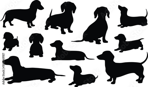 Dachshund Dog Silhouettes, Set of Dachshund Poses, Weiner Dog Silhouette Collection, Dachshund Breeds Vector, Low Rider Dog Graphic Set,  silhouette, vector, illustration