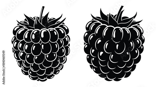 Detailed black and white illustration of two ripe raspberries side by side