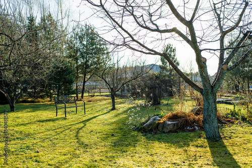 Billede på lærred Bare trees with long shadows across a quiet garden with green grass and a single empty bench