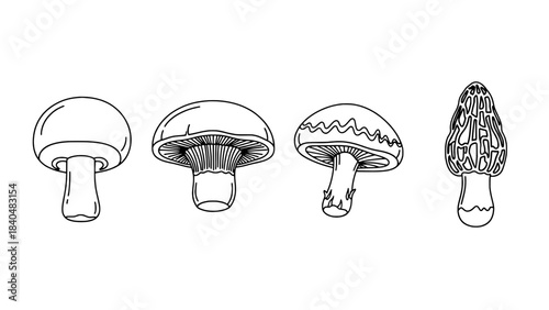 Minimalist black and white illustration showing a guitar neck with a wrench and string roll, representing instrument repair, beside two blank rectangular boxes.