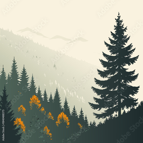 Misty mountain forest with orange foliage and tall evergreen
