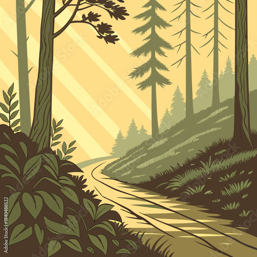 Sunbeams illuminate a winding forest path through tall trees