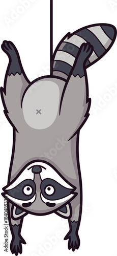 A funny cartoon raccoon character hanging upside down on an isolated white background.
