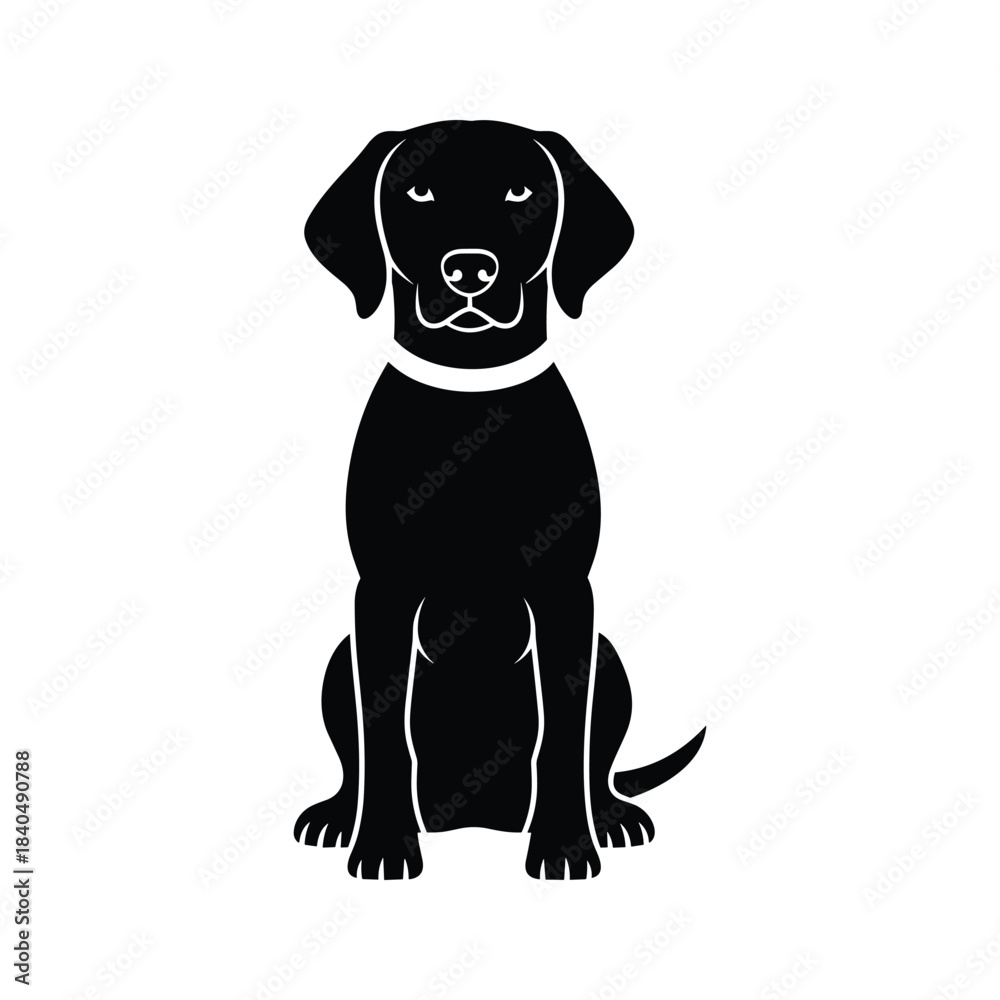 Fototapeta premium Black dog silhouette sitting with white collar vector 