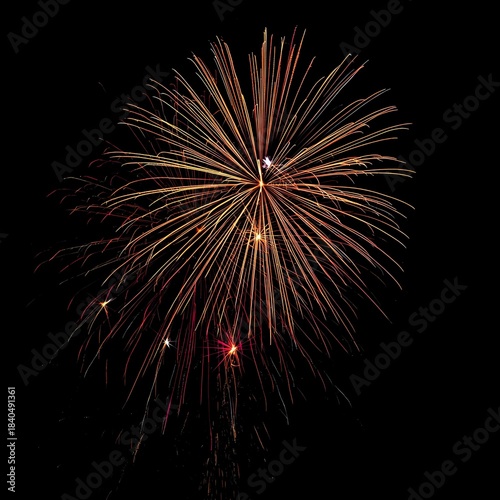 Explosions of golden fireworks bloom in the dark night sky.