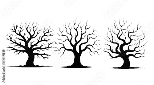 Silhouette of Person Relaxing in Hammock Under Tree Serene Leisure