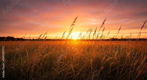 Vibrant Sunset Over Golden Grass Field