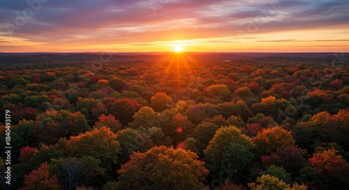 Aerial View Of Autumn Forest At Sunset