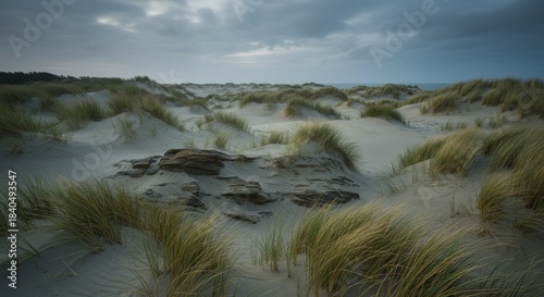 Coastal Sand Dunes with Sparse Vegetation Under an Overcast Sky
