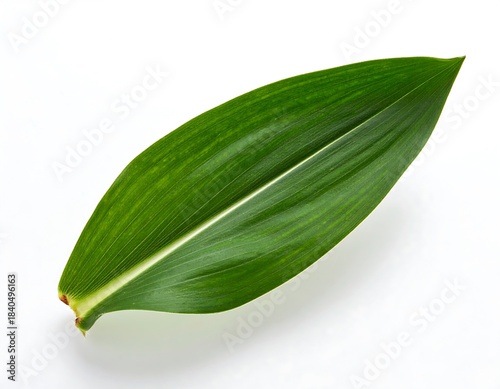 A vibrant, detailed, single green leaf, slightly curved, against a bright white background. Close-up, showcasing veins and subtle texture