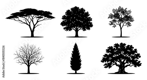 Six diverse tree vector silhouettes illustrating various plant species isolated on a clean white background for nature concepts