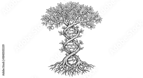Tree of life vector silhouette with DNA double helix trunk symbolizing genetics growth and natural evolution