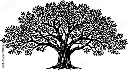 Vector silhouette of a majestic old tree with a sprawling canopy and sturdy trunk, symbolizing nature and growth.