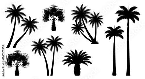 Vector palm tree silhouette collection featuring various tropical plant shapes for vacation and summer themes