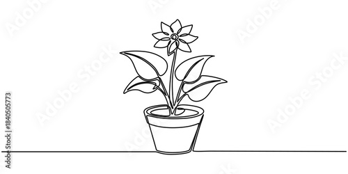 Potted houseplant flowers in continuous one line drawing. Single line art illustration of flower in pot.