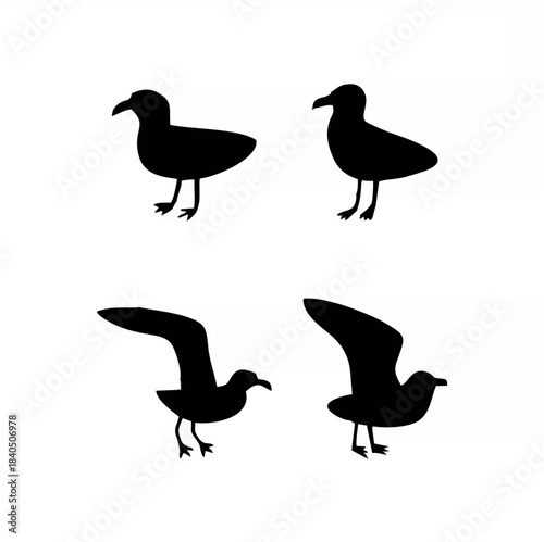 Seagull. Black silhouette. At...