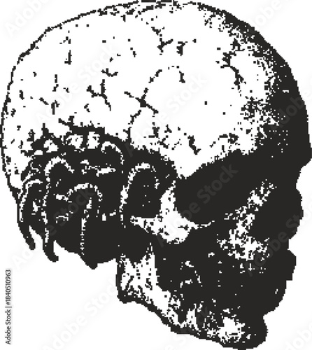 A detailed stippled illustration of a human skull infested with parasitic worms, evoking themes of horror, decay, and the macabre.