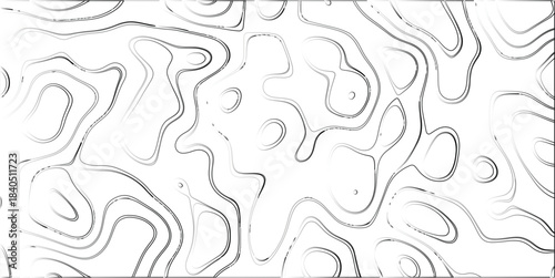 Abstract topographic contour lines forming a dynamic organic pattern with subtle grayscale gradients and textured details on a white background, representing elevation or data visualization