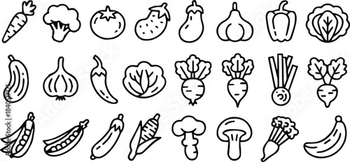 vegetable educational chart icons for cooking, diet, and school materials