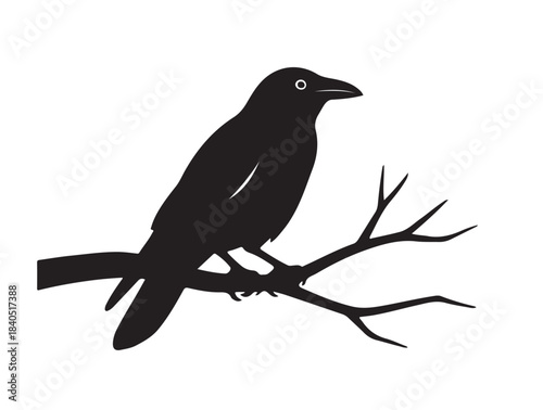 Vector image of crow on branch in silhouette white background..