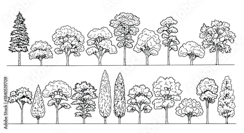 Collection of hand drawn black and white tree line art.