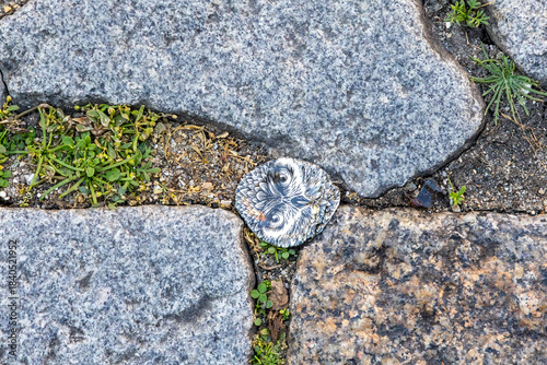 Decorative owl illustration placed between granite cobblestones with small plants growing in the joints, Portugal, Porto, 11 October 2025