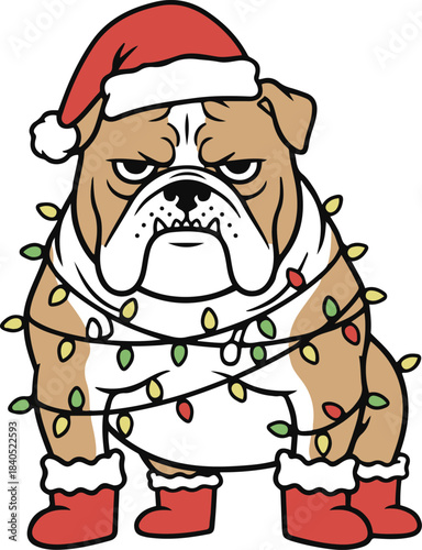 Vector illustration of a grumpy English Bulldog character standing wrapped in colorful Christmas lights, wearing a Santa hat and red boots.