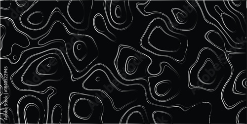 Striking black and white abstract topographic map lines creating a bold, high-contrast pattern of organic shapes and contours on a dark background Keywords: black, white, abstract, topographic